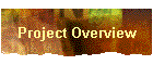 Project Overview